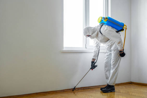 Wildlife Control Services in Oak Trail Shores, TX