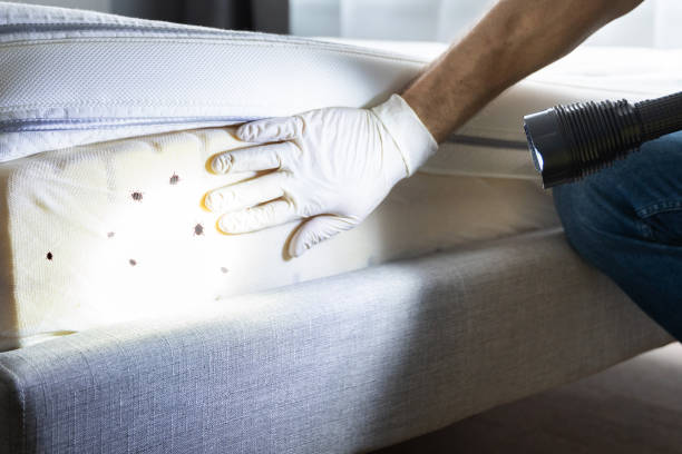 Best Commercial Pest Control Services  in Oak Trail Shores, TX