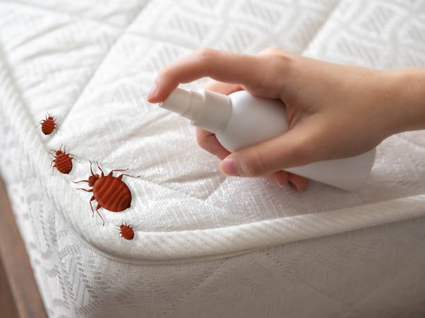 Pest Prevention Services in Oak Trail Shores, TX